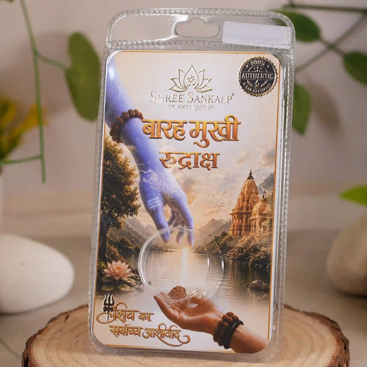 12 mukhi rudraksha