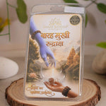 12 mukhi rudraksha
