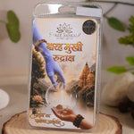 12 mukhi rudraksha
