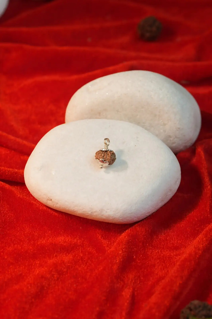 13 Mukhi Rudraksha