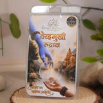 13 mukhi rudraksha