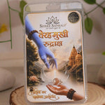13 mukhi rudraksha