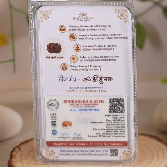 13 mukhi rudraksha