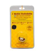 1 Mukhi Rudraksha
