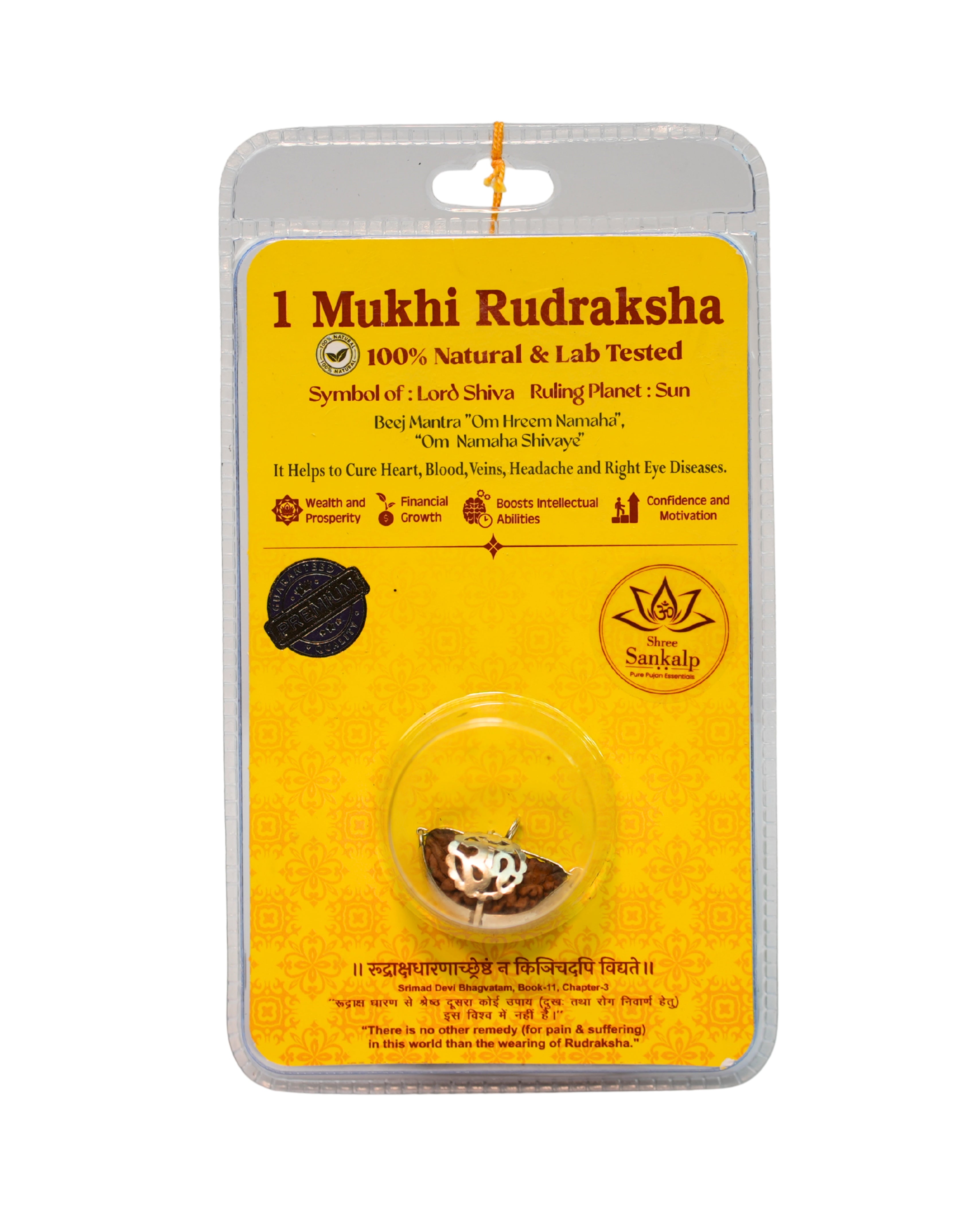1 Mukhi Rudraksha