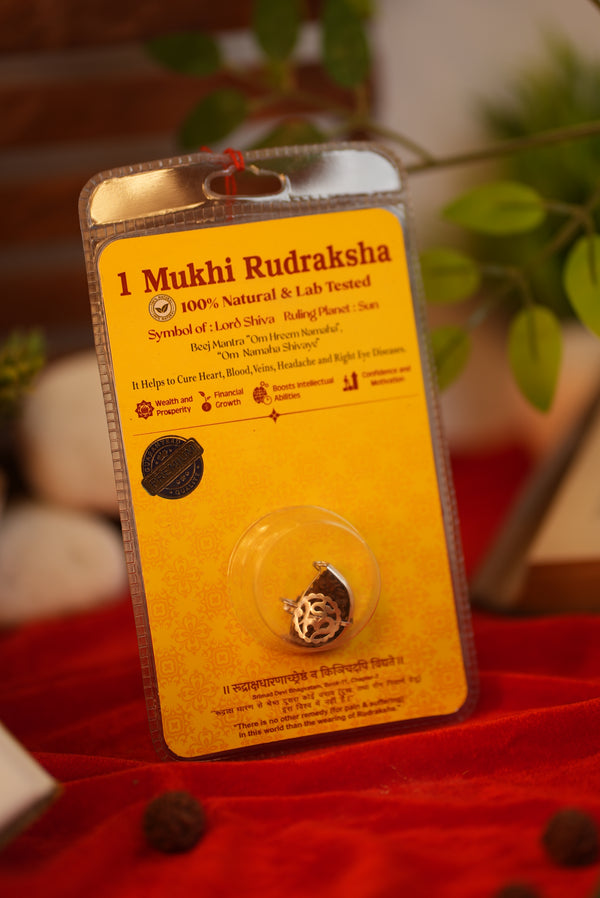 1 Mukhi Rudraksha (One Mukhi) Lab Certified Rare Indonesian Bead