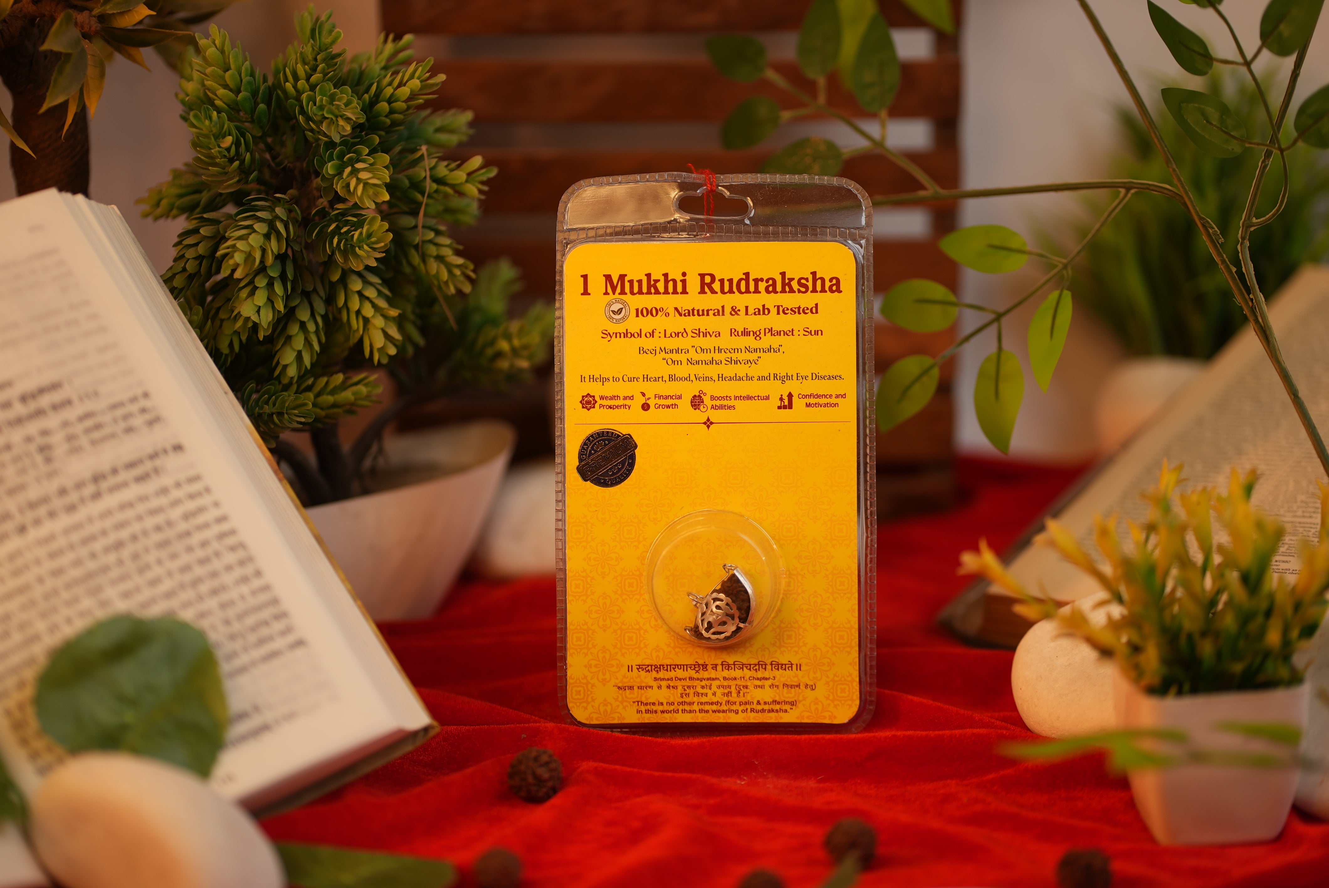 1 Mukhi Rudraksha (One Mukhi) Lab Certified Rare Indonesian Bead