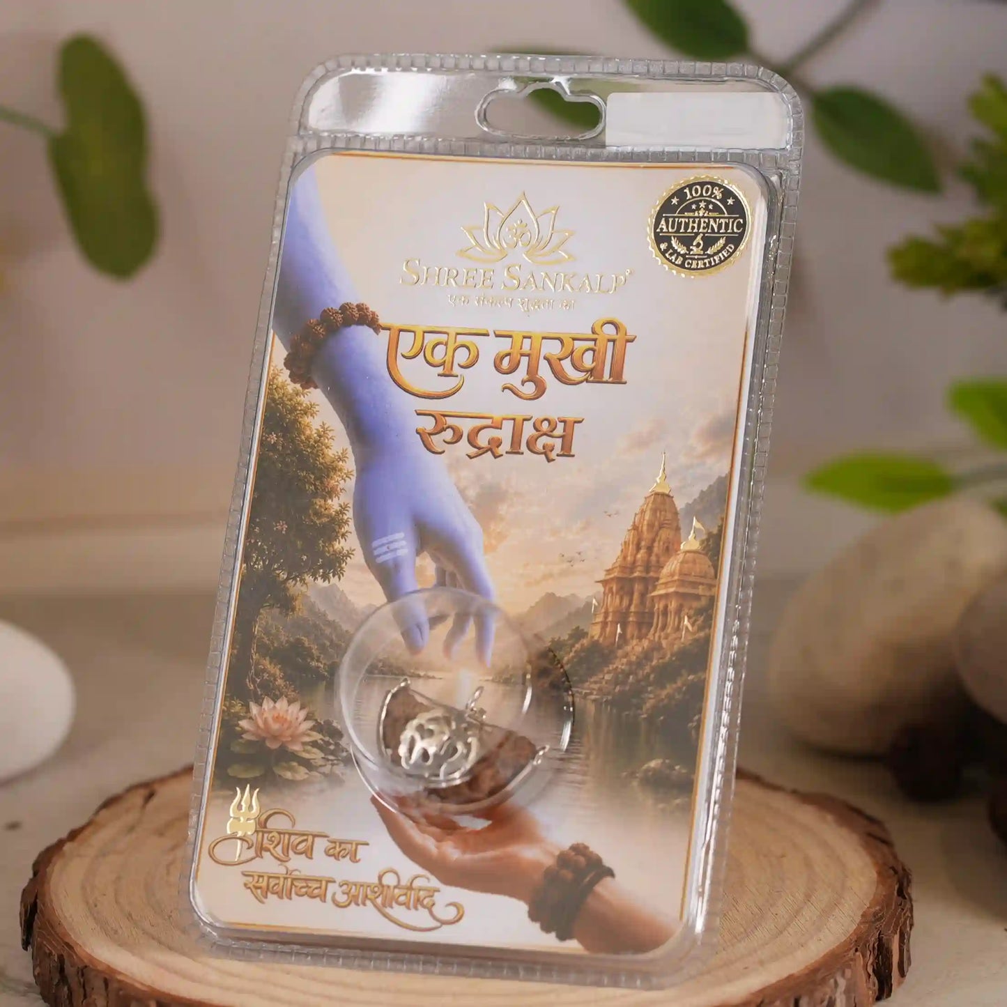 1 mukhi rudraksha