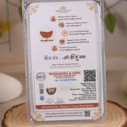 1 Mukhi Rudraksha Lab Certified Rare Indonesian Bead