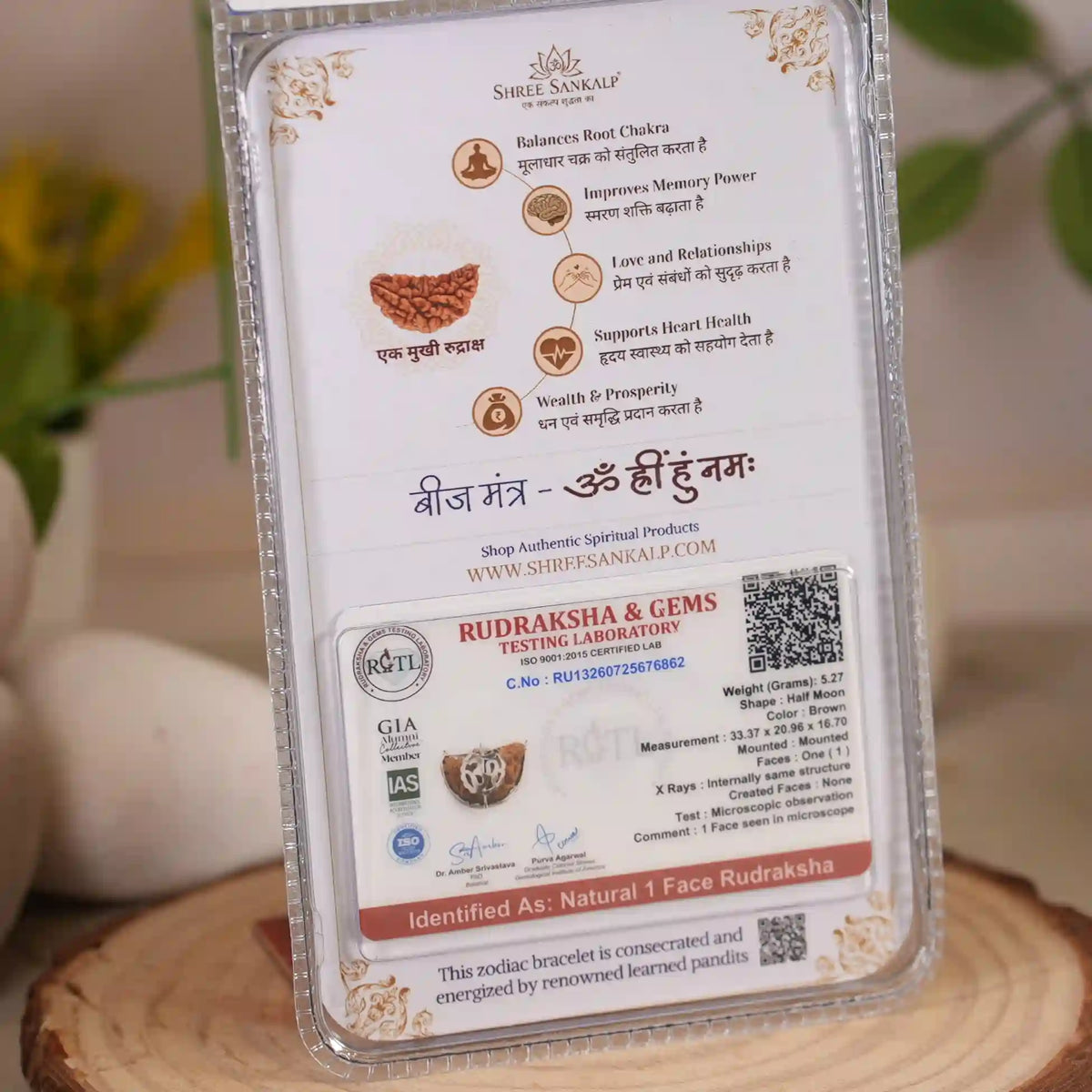 1 mukhi rudraksha