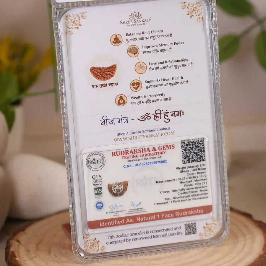 1 mukhi rudraksha