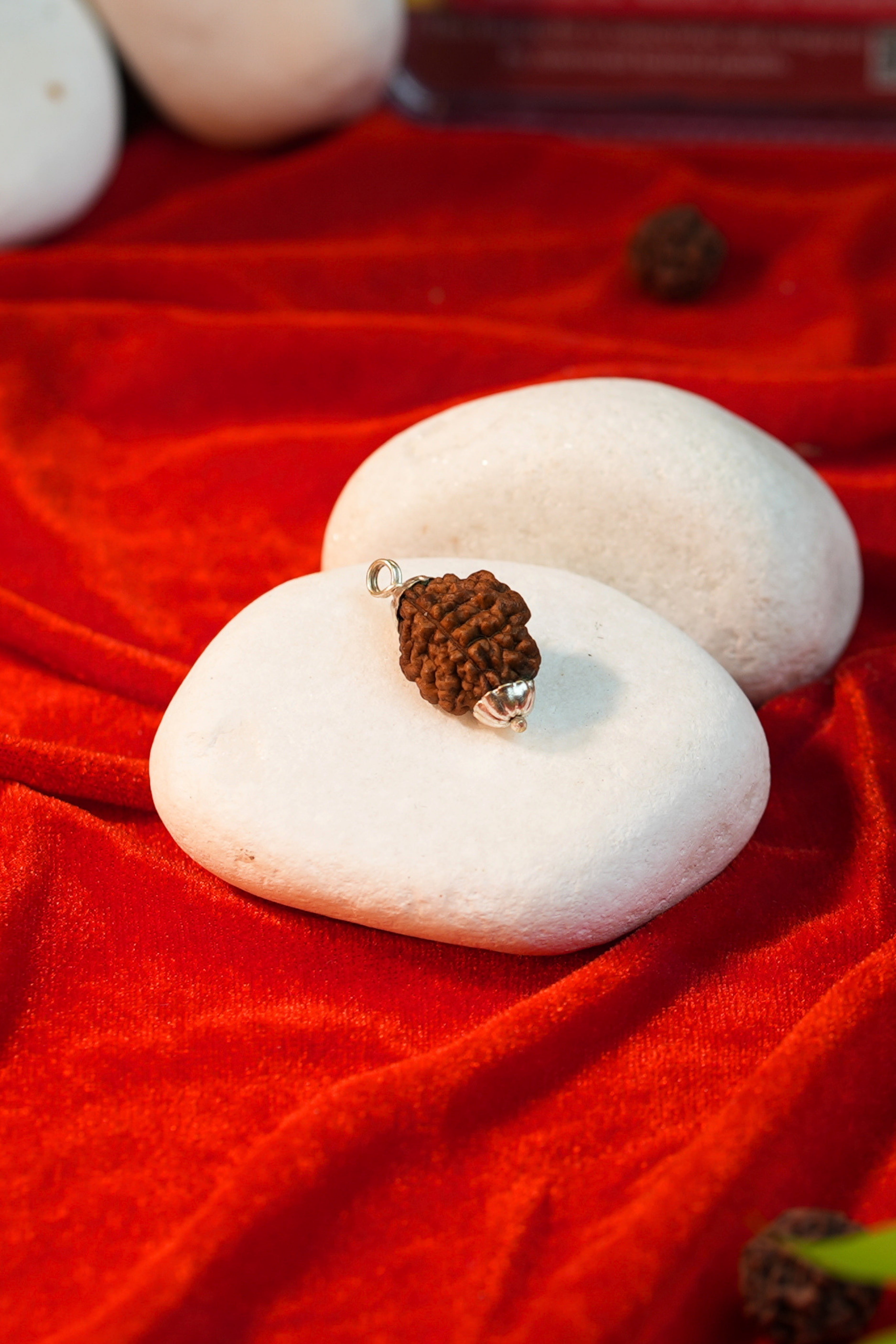 Rudraksha