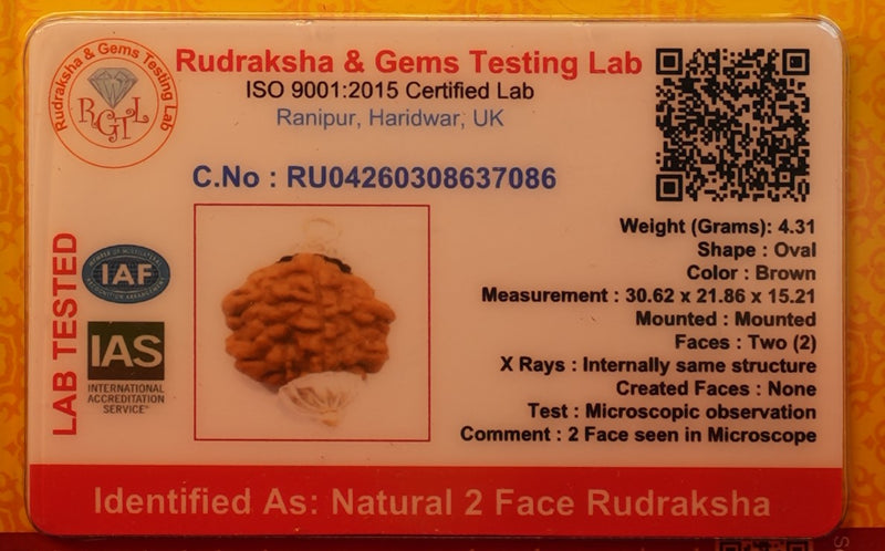 Rudraksha Collection