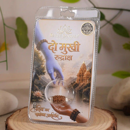 2 mukhi rudraksha