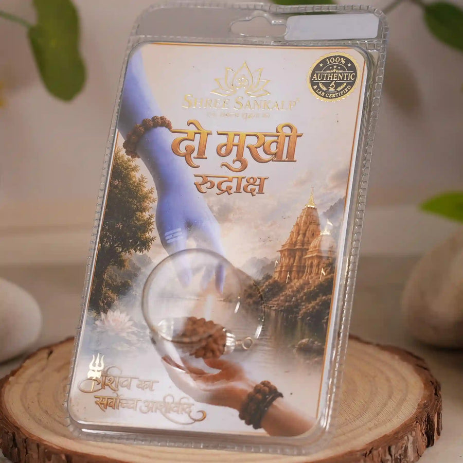 2 mukhi rudraksha