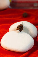 3 mukhi rudraksha