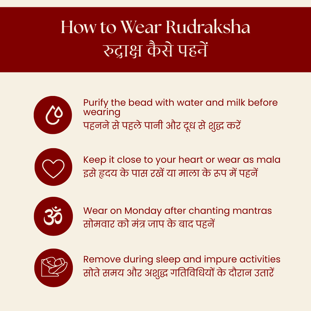Original 6 Mukhi Nepali Rudraksha