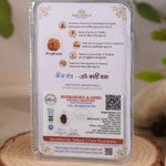 3 mukhi rudraksha