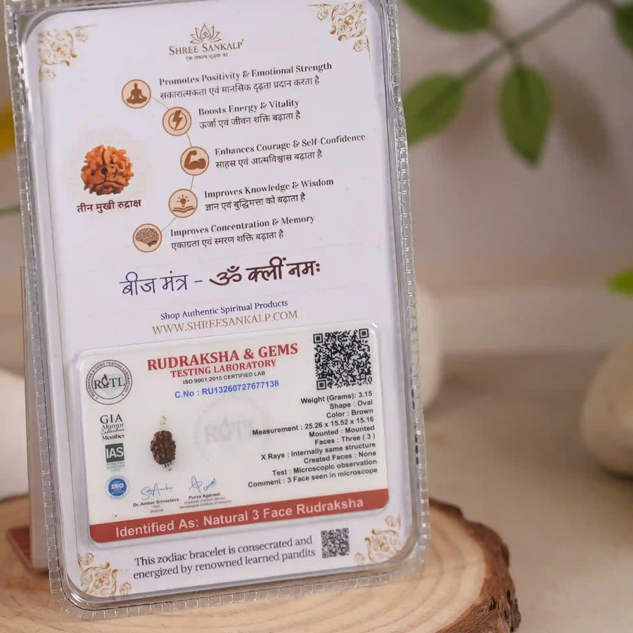 3 mukhi rudraksha