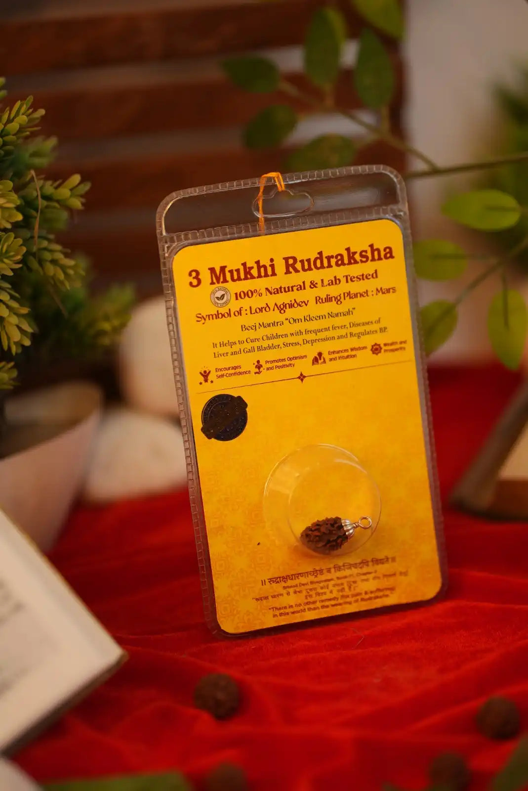 3 mukhi rudraksha