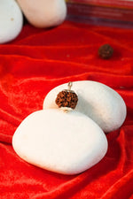 4 Mukhi Rudraksha