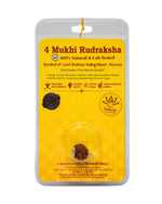 4 Mukhi Rudraksha
