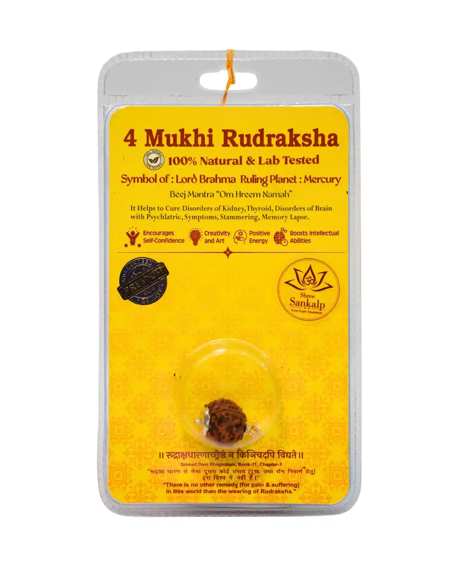 4 Mukhi Rudraksha