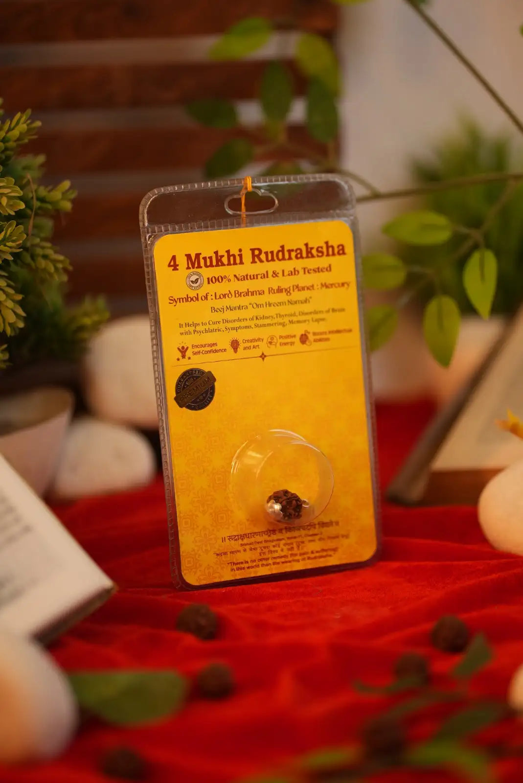 4 Mukhi Rudraksha