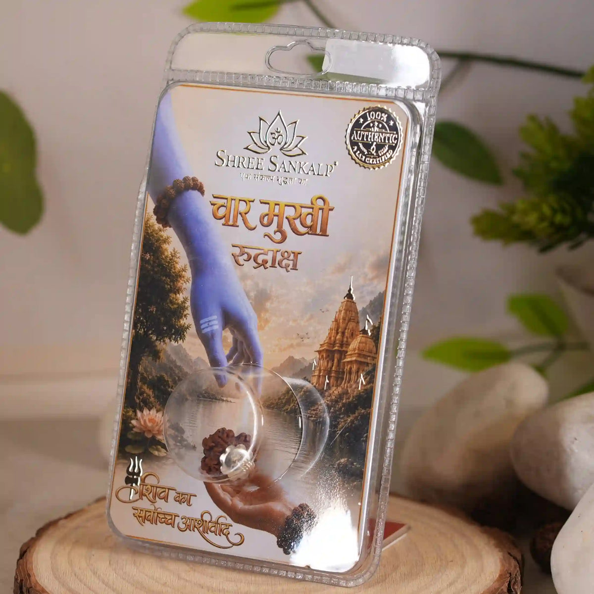 4 mukhi rudraksha