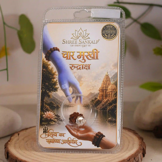 4 mukhi rudraksha