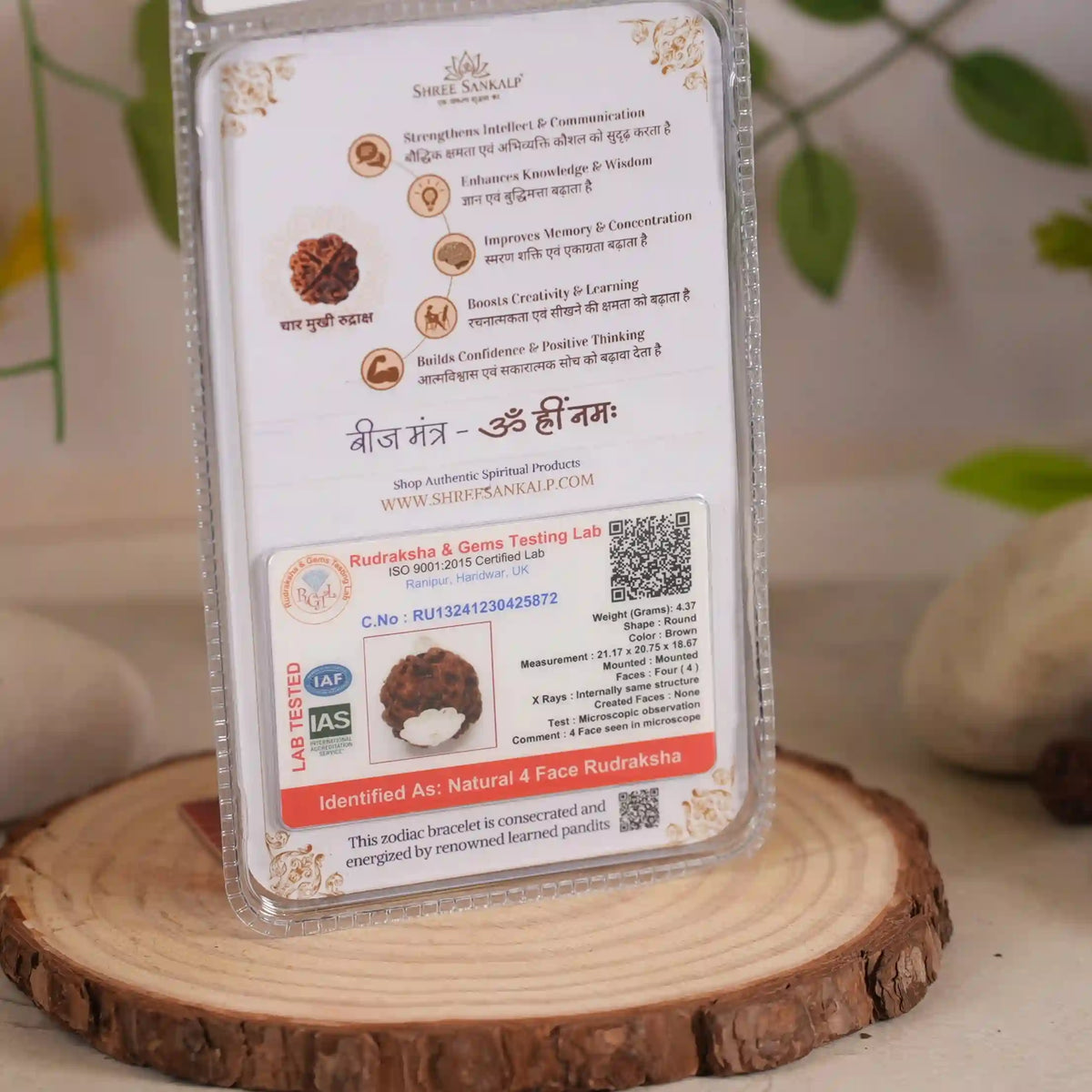 4 mukhi rudraksha