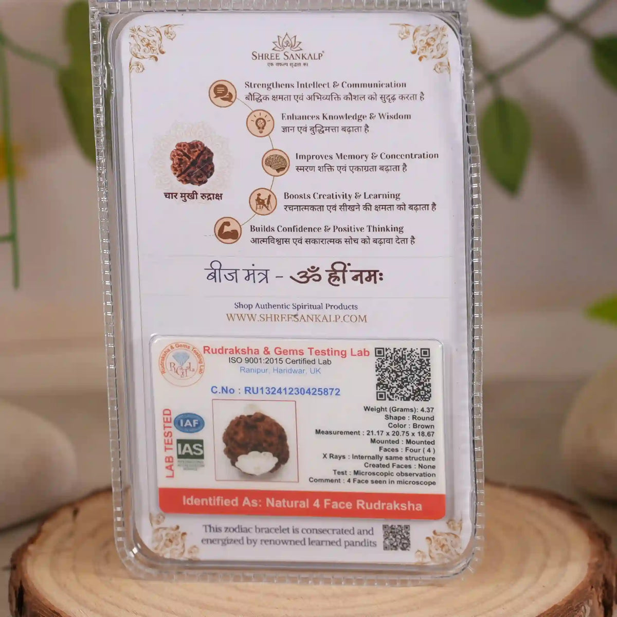 4 mukhi rudraksha