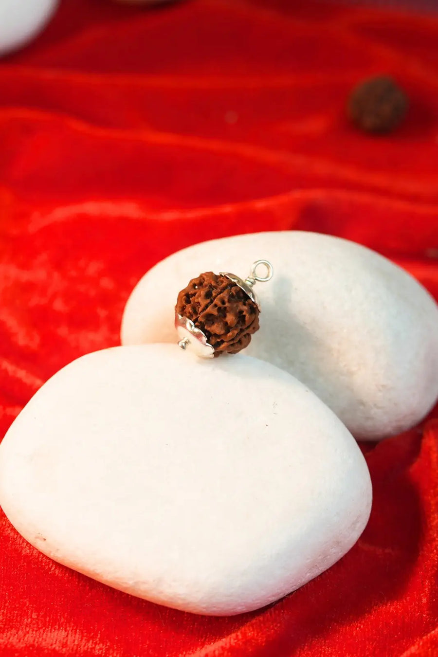 5 mukhi rudraksha