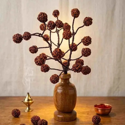 5 Mukhi Rudraksha Tree - Small