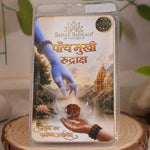5 mukhi rudraksha