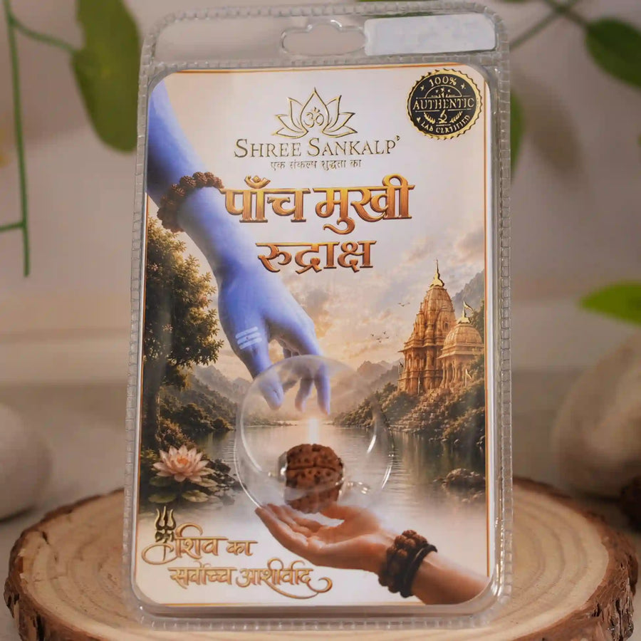 5 mukhi rudraksha