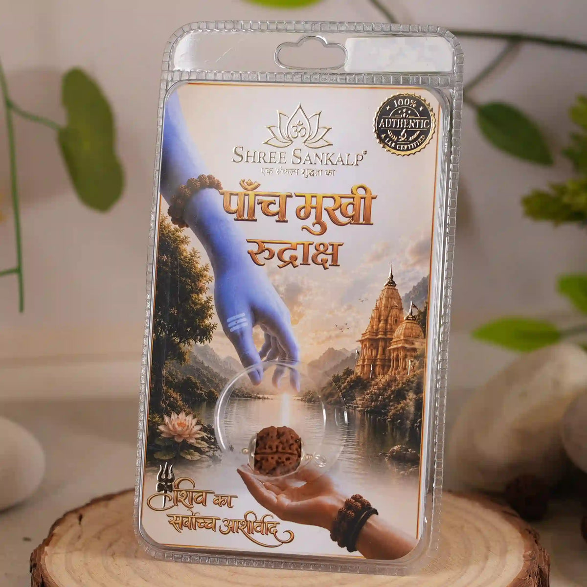 5 mukhi rudraksha