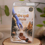 5 mukhi rudraksha