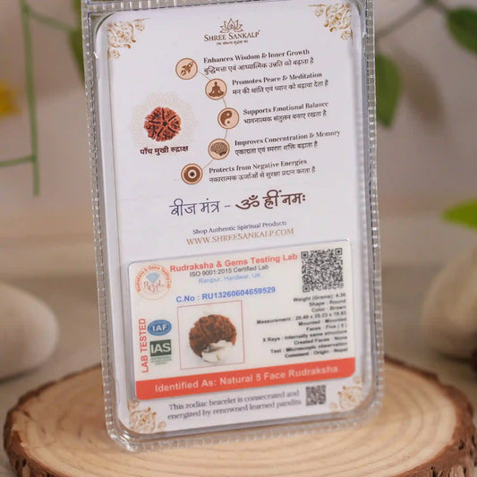 5 mukhi rudraksha