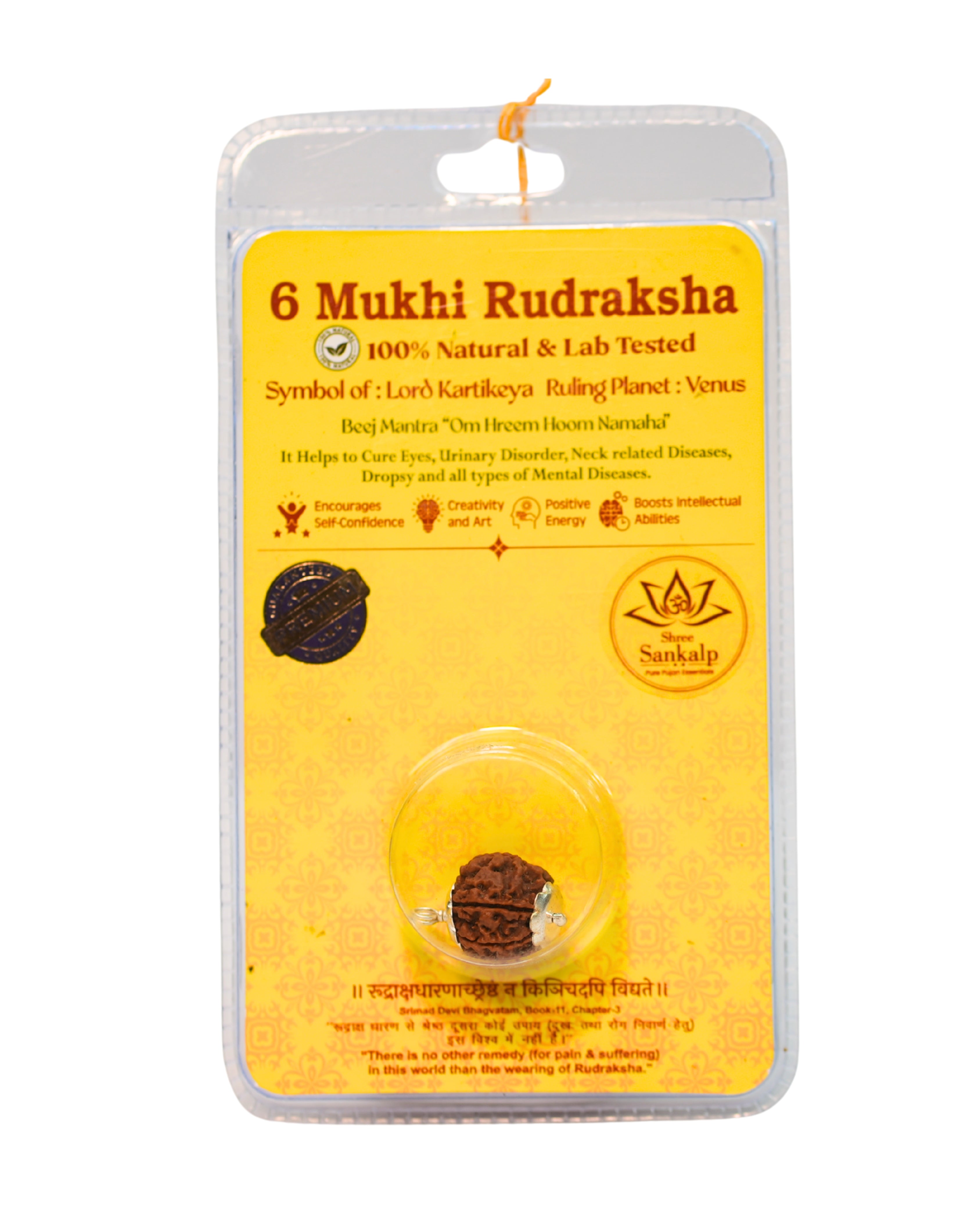 6 mukhi rudraksha