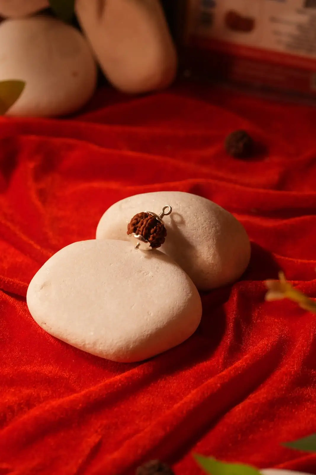 6 mukhi rudraksha