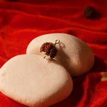 6 mukhi rudraksha