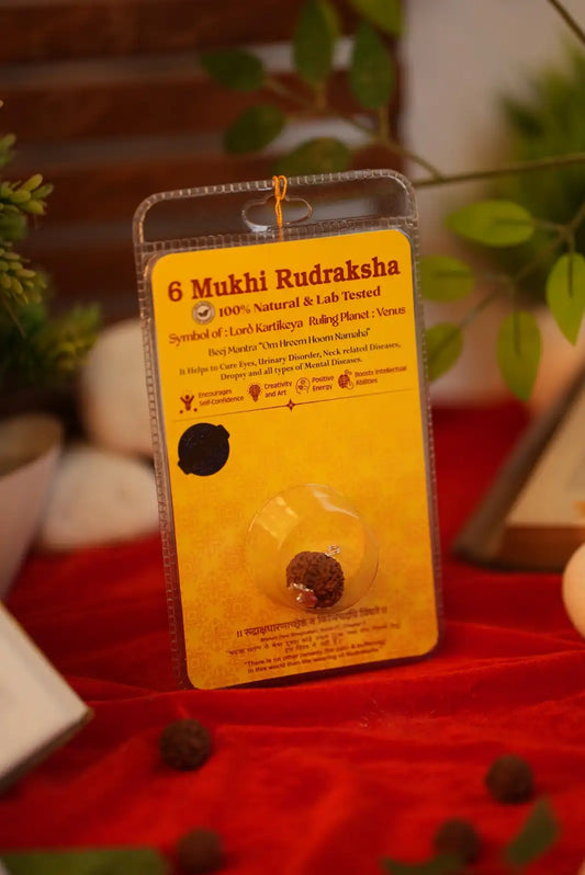 6 mukhi rudraksha