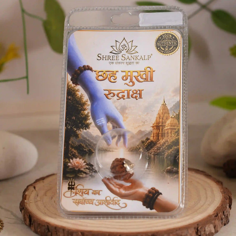 6 mukhi rudraksha