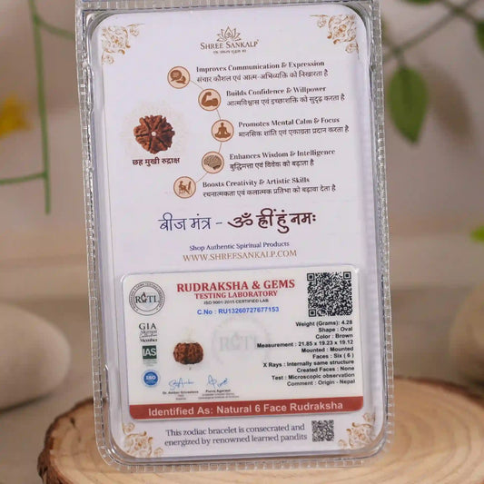 6 mukhi rudraksha
