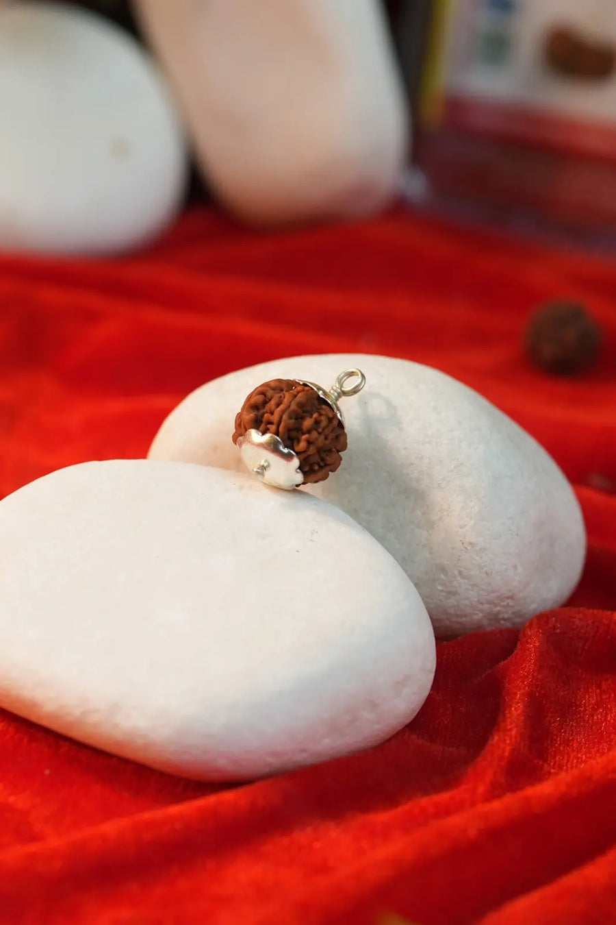 7 Mukhi Rudraksha
