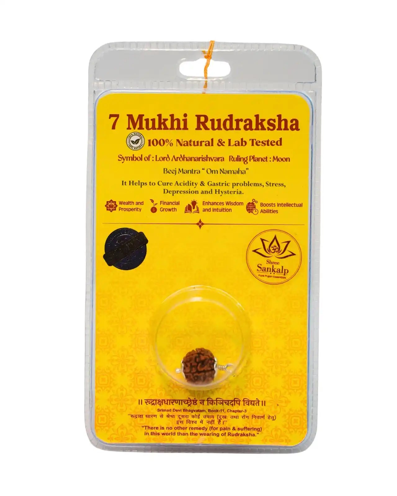 7 Mukhi Rudraksha