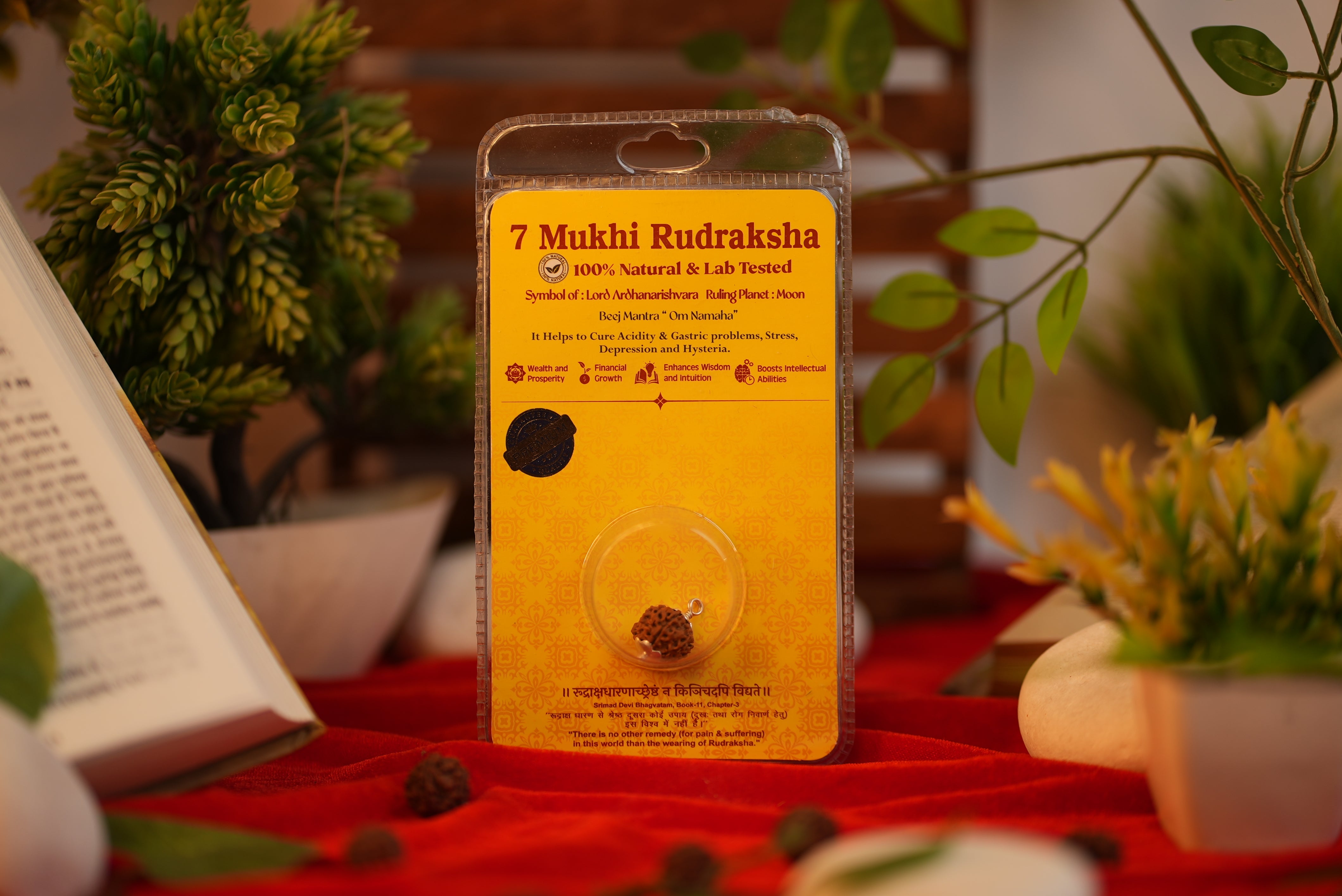 7 Mukhi Rudraksha (Seven Mukhi) – Lab Certified Nepali Rudraksha | Shree Sankalp