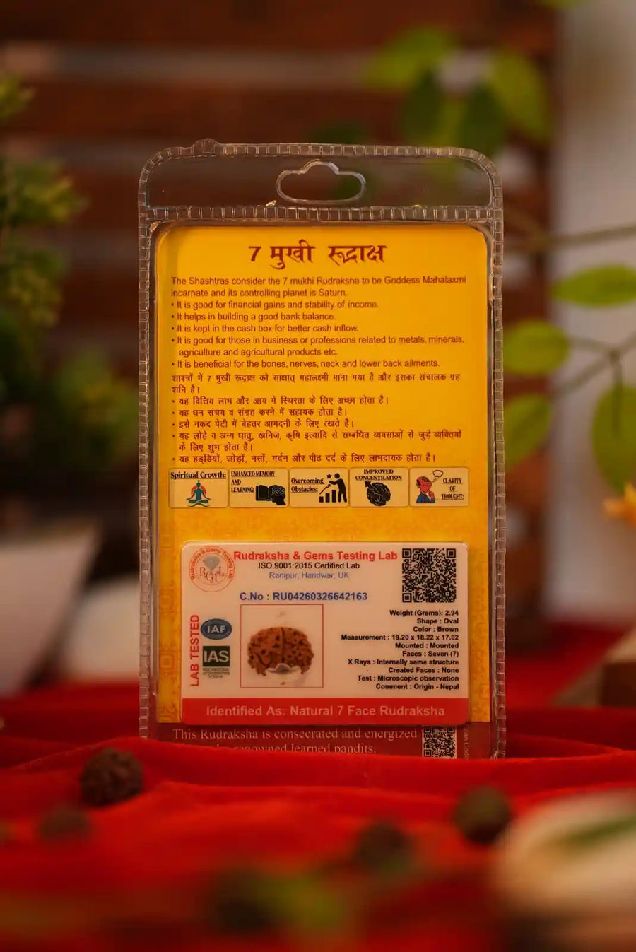 7 Mukhi Rudraksha