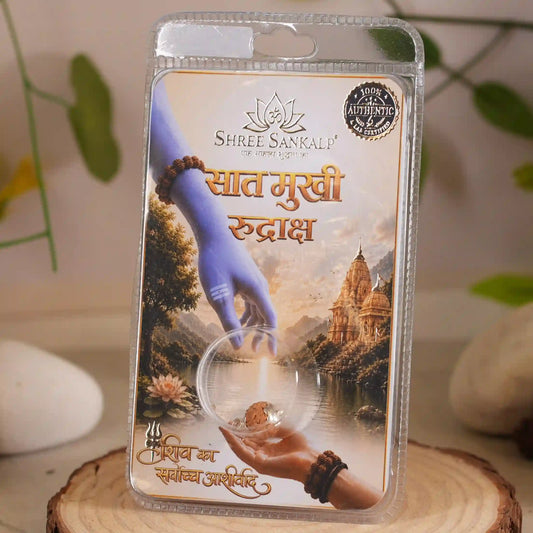 7 Mukhi Rudraksha Lab Certified Nepali Rudraksha
